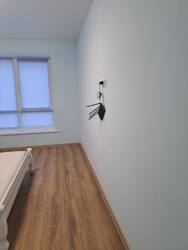 ��������� �������� �����-����������, �����-���������, ��������, �����������, 227 ���� 3