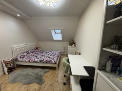 ��������� �������� �����-���������, �����-����������, ����� ���� 15