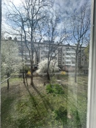 ��������� �������� �������� �. ���., 37 �, �����-���������, �����-����������, ������� ���� 10