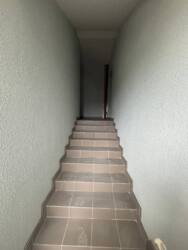 ��������� �������� ������, �����-���������, �����-����������, ������� ���� 12