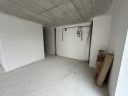 ��������� �������� �����-���������, �����-���������� ���� 11