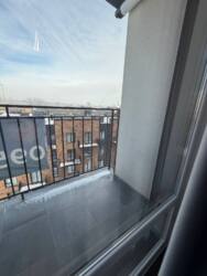 ��������� �������� �.������, 2, �����-���������, �����-����������, ����� ���� 31