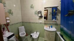 ��������� �������� �������, ��������, �����-��������� ����, �����-���������� ���� 2