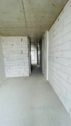 ��������� �������� ������������, 1, �����-���������, �����-����������, ����� ���� 14