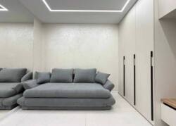 ��������� �������� ����� ��������, �����-���������, �����-���������� ���� 7