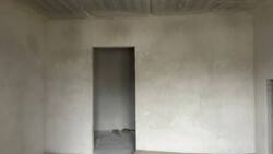 ��������� �������� �����-����������, �����-���������, ��� ���� 5