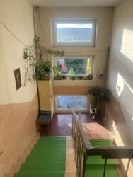 ��������� �������� ��������� �. ���., �����-���������, �����-����������, �������� ���� 8