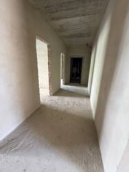 ��������� �������� ���������, 25, �����-���������, �����-����������, ����� ���� 20