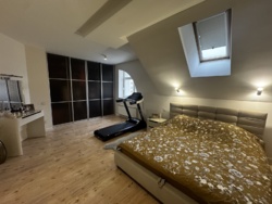 ��������� �������� �����-���������, �����-����������, ����� ���� 11