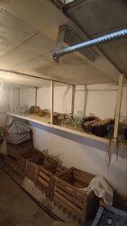 Продається квартира Коновальця вул., Івано-Франківськ, Івано-Франківська, Центр фото 19 Продається квартира Коновальця вул., Івано-Франківськ, Івано-Франківська, Центр фото 19