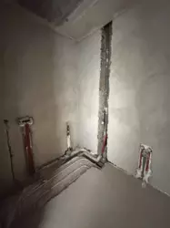 ��������� �������� �����-����������, �����-��������� ����, ��������, 24 ������ ���� 1