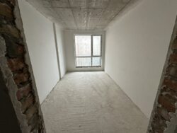 ��������� �������� �����-���������, �����-���������� ���� 13