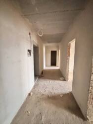 ��������� �������� �����-����������, �����-���������, ����� ���� 11