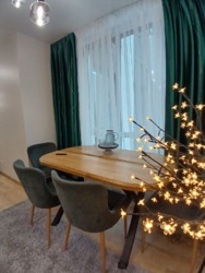 ��������� �������� ������������ ���., �����-���������, �����-����������, ����� ���� 10