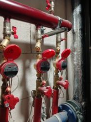 ��������� �������� ������������ ���., �����-���������, �����-����������, ����� ���� 20