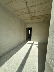 ��������� �������� ���������, 38, �����-���������, �����-����������, ����� ���� 2