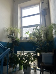 ��������� �������� �����-����������, �����-���������, �����, �������, 6 ���� 11