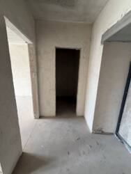 ��������� �������� �������� �. ���., 31�, �����-���������, �����-����������, ����� ���� 9