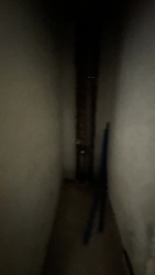 ��������� �������� �����-����������, �����-���������, ������, �������� ���� 14