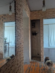 ��������� �������� �����, �����-���������, �����-���������� ���� 11