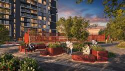 ��������� �������� �������� �. ���., �����-���������, �����-����������, ������ ���� 5