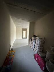 ��������� �������� �����-����������, �����-���������, ������������, 5 ���� 17