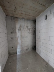 ��������� �������� ���������, �����-���������, �����-����������, �������� ���� 12