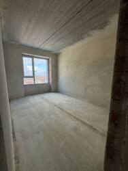 ��������� �������� ����������� �. ���� ���., �����-���������, �����-����������, ������� ���� 5