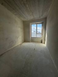 ��������� �������� ����������� �. ���� ���., �����-���������, �����-����������, ������� ���� 5