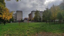 ��������� �������� ������, 3, �����, ����������, �����-���������� ���� 8