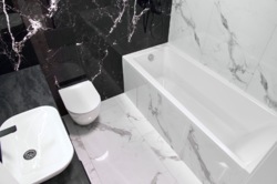 ��������� �������� ����, 100, �����-���������, �����-����������, ������ ���� 41