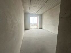 ��������� �������� ������� �. ���., �����-���������, �����-����������, ������� ���� 3