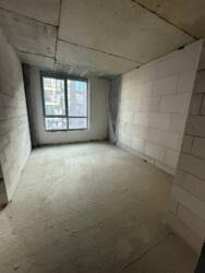 ��������� �������� �����-���������, �����-����������, ������ ���� 2