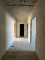 ��������� �������� ������� �. ���., �����-���������, �����-����������, ����� ���� 5