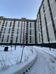 ��������� �������� �����-����������, �����-���������, ���, �������� �. ���., 31� ���� 8