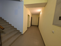 ��������� �������� ������� �. ���., 19, �����-���������, �����-����������, ������ ���� 8