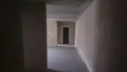 ��������� �������� �����-����������, �����-��������� ����, ��������, 11 ���� 5