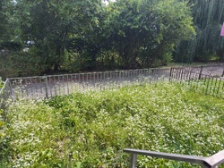 Продається квартира Шевченка, 42, Богородчани, Богородчанський, Івано-Франківська фото 2 Продається квартира Шевченка, 42, Богородчани, Богородчанський, Івано-Франківська фото 2