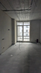 ��������� �������� �����-���������, �����-����������, �������� ���� 17