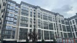 ��������� �������� �����-����������, �����-���������, ��� ���� 3