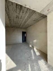 ��������� �������� ������� �. ���., �����-���������, �����-����������, ����� ���� 9