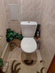 ��������� �������� ��������� �. ���., �����-���������, �����-����������, ��������� ���� 17