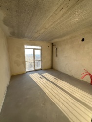 ��������� �������� �����-����������, �����-���������, ���, �������� �. ���., 31� ���� 1