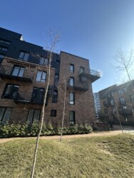 ��������� �������� ������������, 5, �����-���������, �����-���������� ���� 15