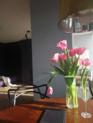 ��������� �������� �������, 15, ��������, �����-��������� ����, �����-���������� ���� 21