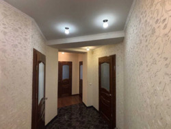 ��������� �������� �����-����������, �����-���������, ������, ����������� ���. ���� 14