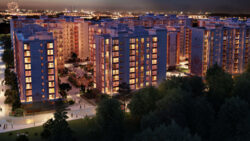 ��������� �������� ��������, 14, �����-���������, �����-����������, ��� ���� 1