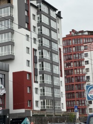 ��������� �������� �����������, �����-���������, �����-����������, �������� ���� 1