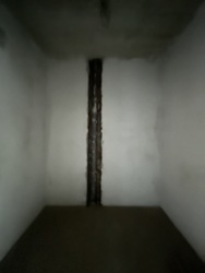 ��������� �������� �����-����������, �����-���������, ó���, ���� ���� 8