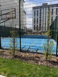 ��������� �������� �������� �. ���., 31�, �����-���������, �����-����������, ����� ���� 16